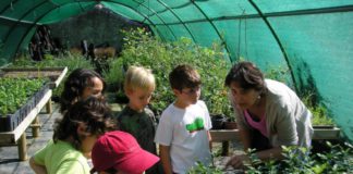 Taller educació ambiental - viver.jpg