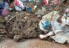 Pescadors denuncien l'excés de compreses i tovalloletes humides al mar Gata Boroneti