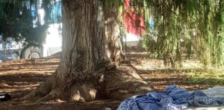 Els sense sostre, una problemàtica pels parcs de Montigalà