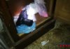 Els Mossos intervenen 33 quilos de droga de diferent naturalesa, 14.000 euros i una arma de fogueig. Els 4 detinguts, a presó.