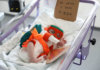 La Unitat de Neonatologia de Can Ruti va organitzar un concurs de disfresses amb la missió de visibilitzar la prematuritat / Can Ruti