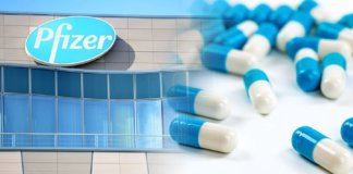 Pfizer ha anunciat avui bons resultats en la pastilla contra la Covid, anomenada Paxlovid. Redueix el risc d'hospitalització en un 89%.